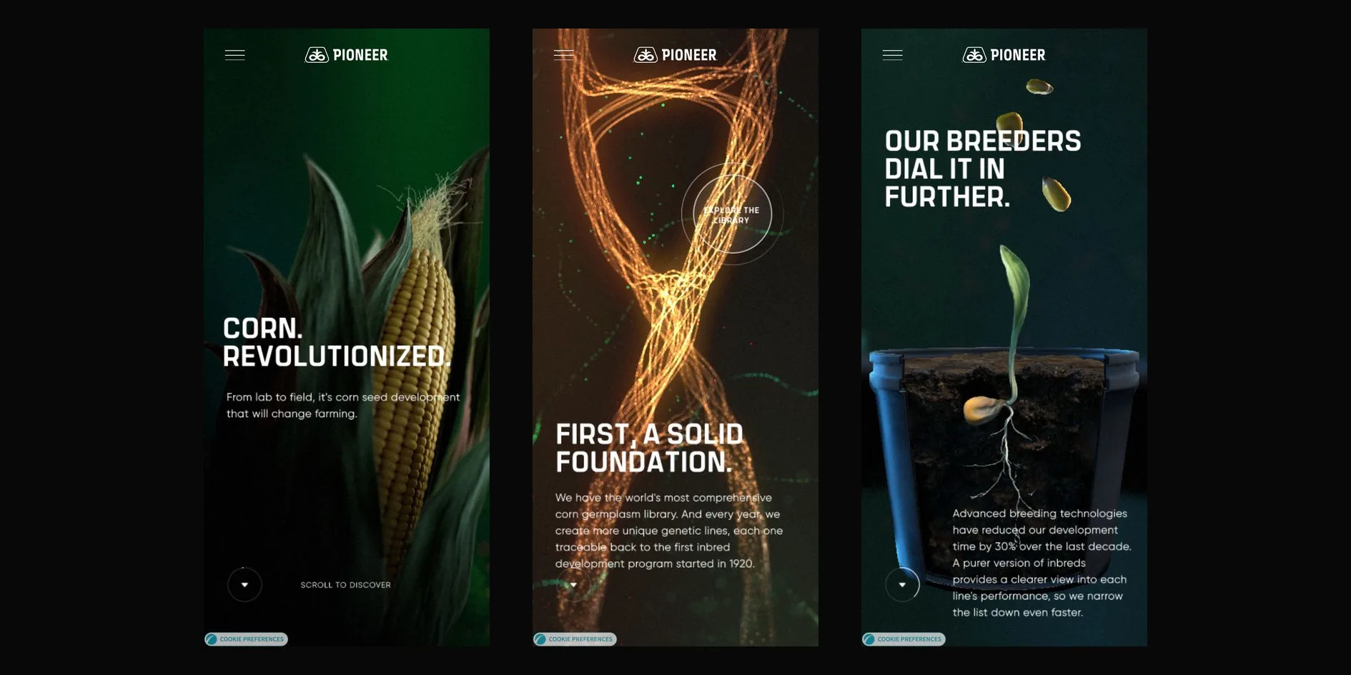 Three phone screens. On the left, the opening corn plant and CORN. REVOLUTIONIZED., with a downward arrow and SCROLL TO DISCOVER at the lower left. In the middle, the glowing DNA strand and FIRST, A SOLID FOUNDATION., with the EXPLORE THE LIBRARY round button over it at the upper right. On the right, OUR BREEDERS DIAL IT IN FURTHER., with a few seeds falling toward a cutaway pot in which a seed has grown a seedling and roots