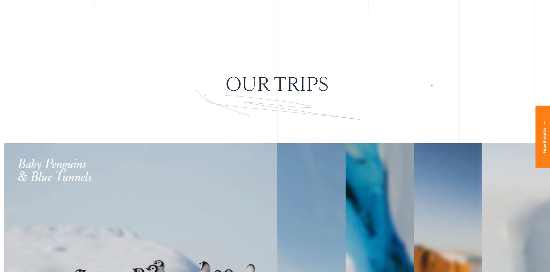 The trips section: a six-column grid sitting permanently over the page, with a drawn flourish under the title