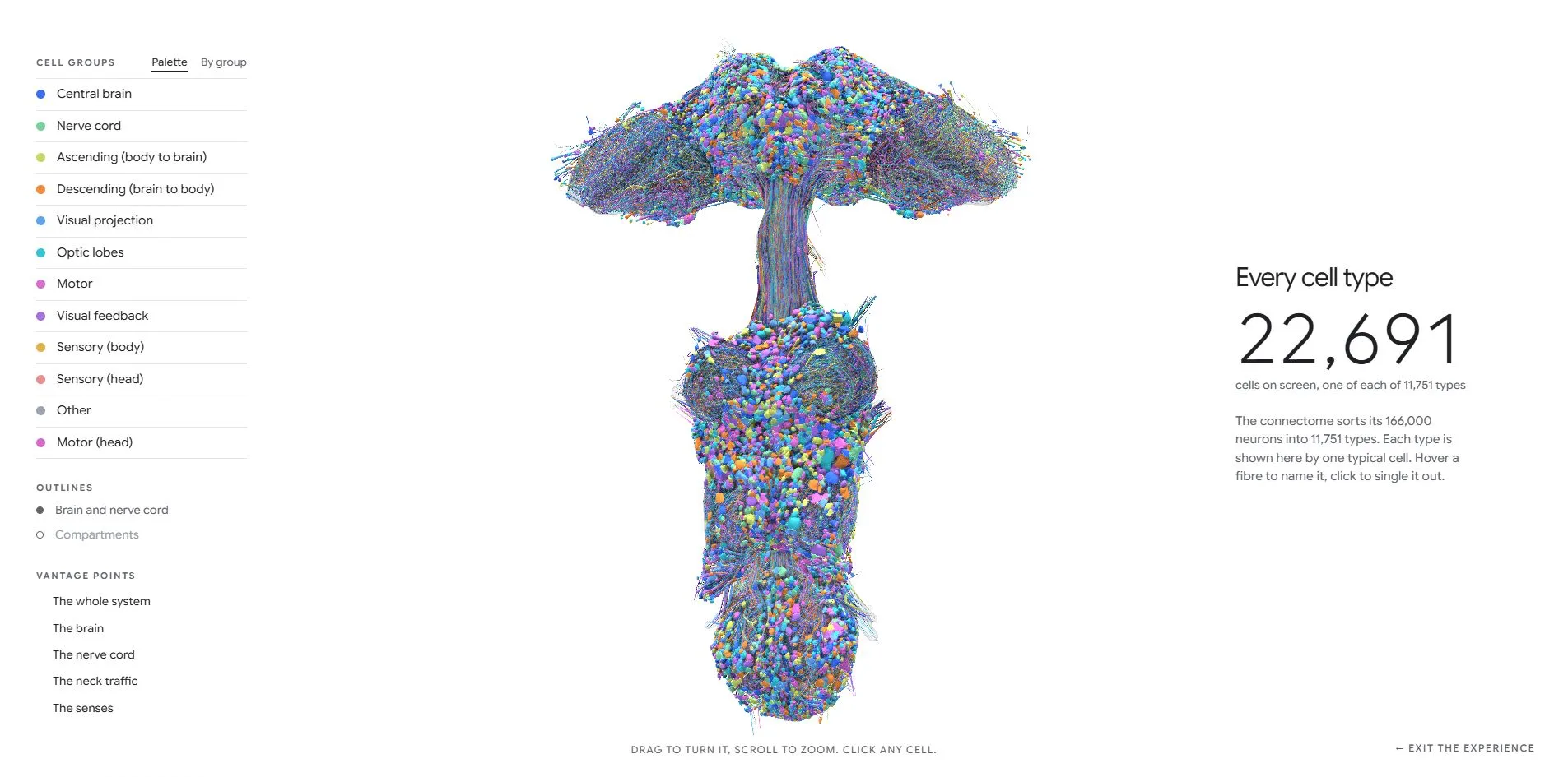 The explorer, 12 cell-group switches and five vantage points on the left, the full nervous system in the middle, the count 22,691 on the right